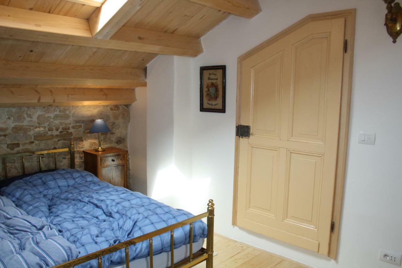 Villa Terra Mirna à Vižinada Extérieur photo