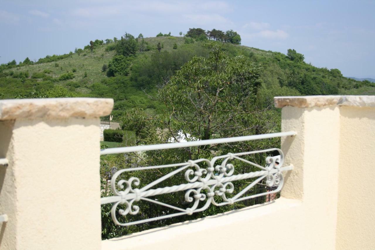 Villa Terra Mirna à Vižinada Extérieur photo